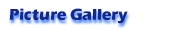 Picture Gallery