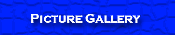 Picture Gallery