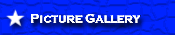 Picture Gallery