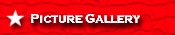 Picture Gallery
