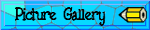 Picture Gallery