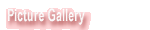 Picture Gallery