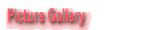 Picture Gallery