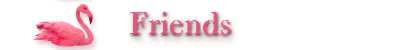 Friends