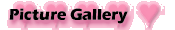 Picture Gallery