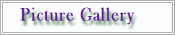 Picture Gallery