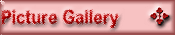 Picture Gallery
