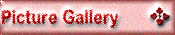 Picture Gallery