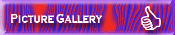Picture Gallery
