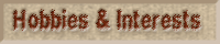 Interests & Hobbies