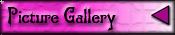Picture Gallery