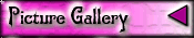 Picture Gallery