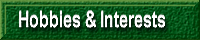 Interests & Hobbies