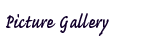 Picture Gallery
