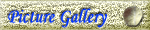 Picture Gallery