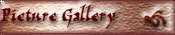 Picture Gallery