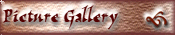 Picture Gallery