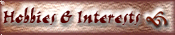 Interests & Hobbies