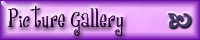Picture Gallery