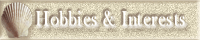 Interests & Hobbies