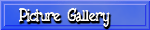 Picture Gallery