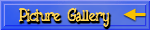 Picture Gallery