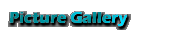 Picture Gallery
