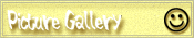 Picture Gallery