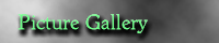 Picture Gallery