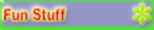 Fun Stuff