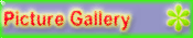 Picture Gallery