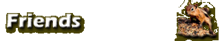 Friends