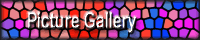 Picture Gallery