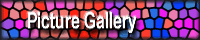 Picture Gallery