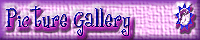 Picture Gallery
