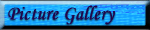 Picture Gallery
