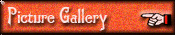 Picture Gallery