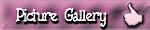 Picture Gallery