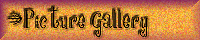 Picture Gallery