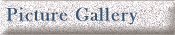 Picture Gallery