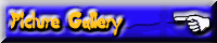 Picture Gallery