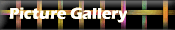 Picture Gallery