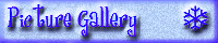 Picture Gallery