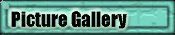 Picture Gallery
